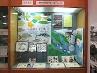 三島ゆかりの絵本作家　スギヤマカナヨ　展示画像